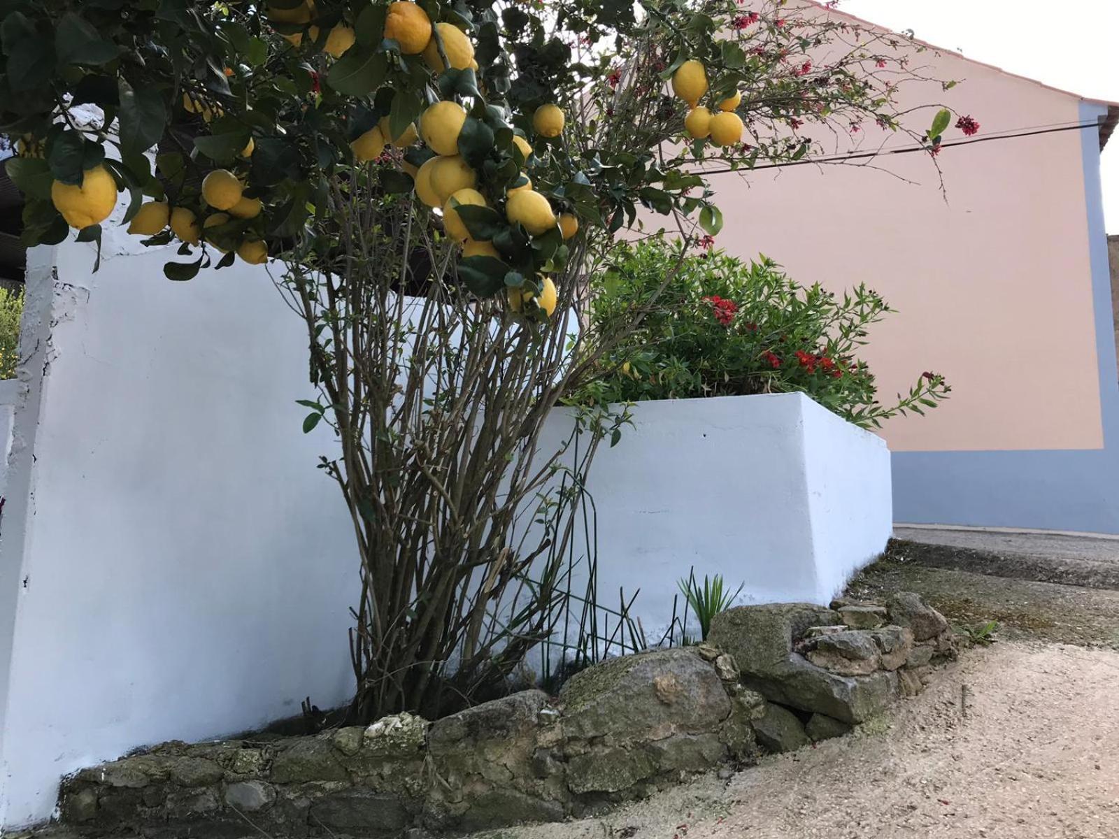 Casas Bemposta Villa Monchique Eksteriør bilde