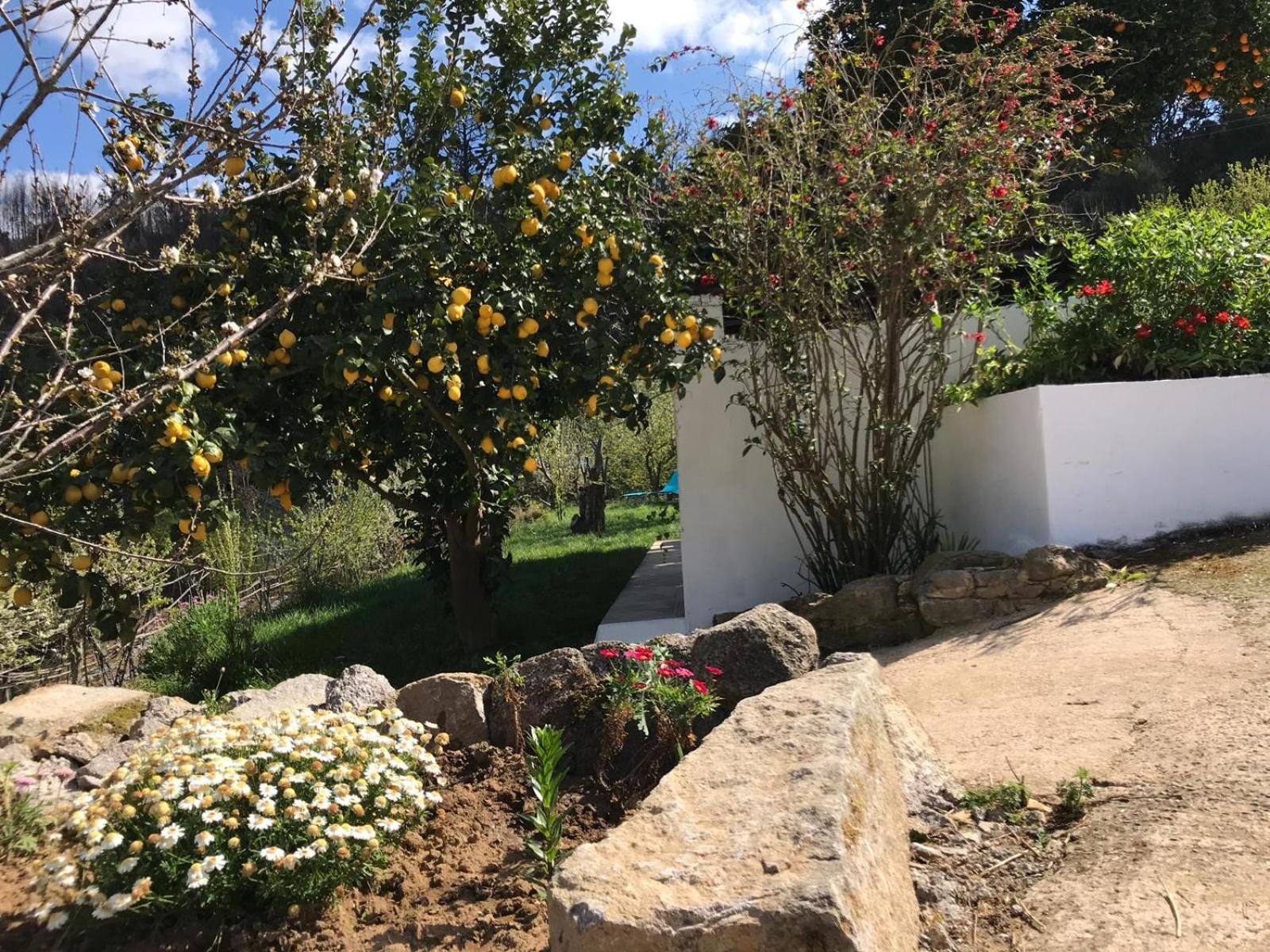 Casas Bemposta Villa Monchique Eksteriør bilde