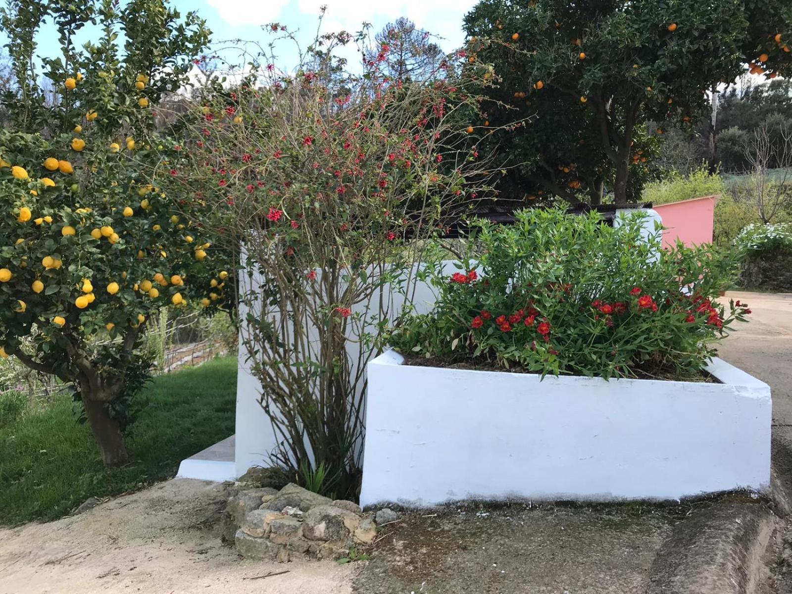 Casas Bemposta Villa Monchique Eksteriør bilde